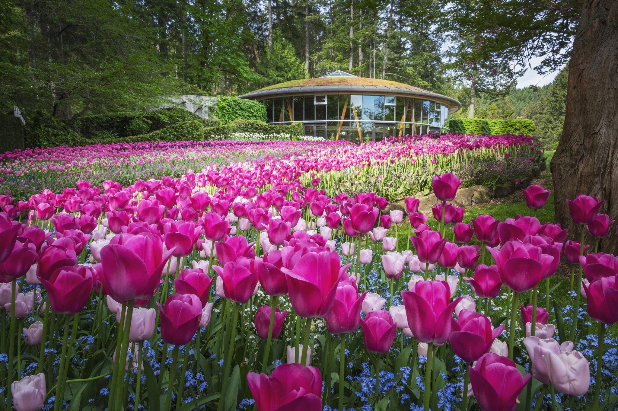 The Butchart Gardens in Victoria BC
