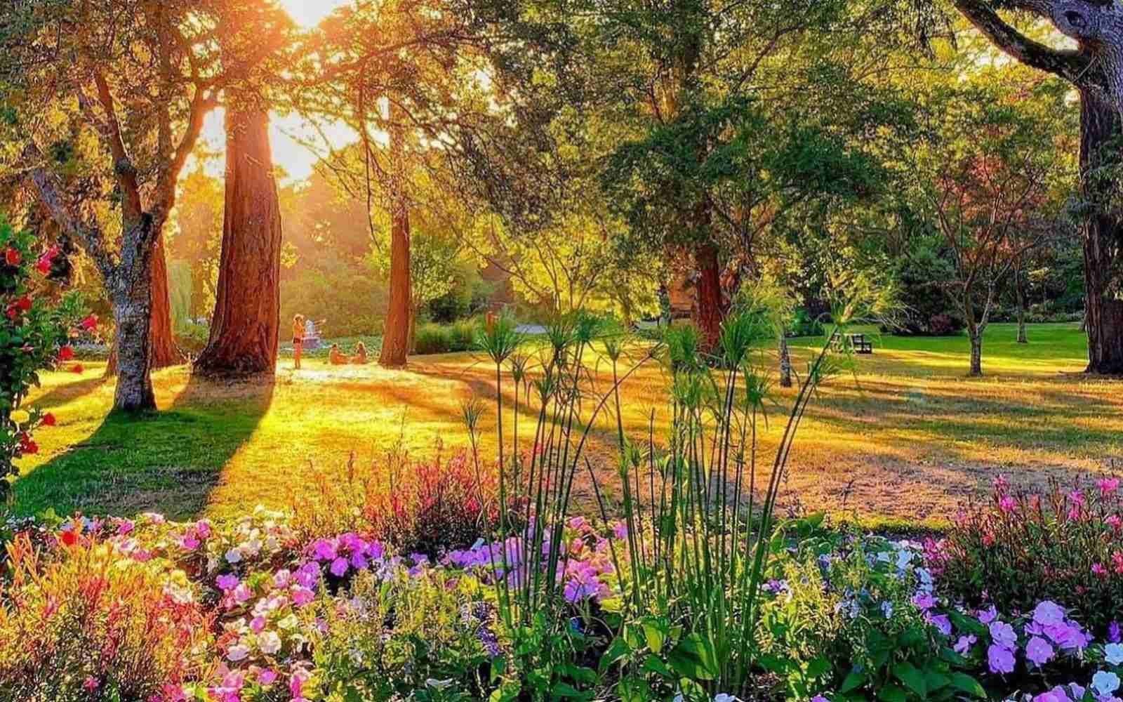 Beacon Hill Park
