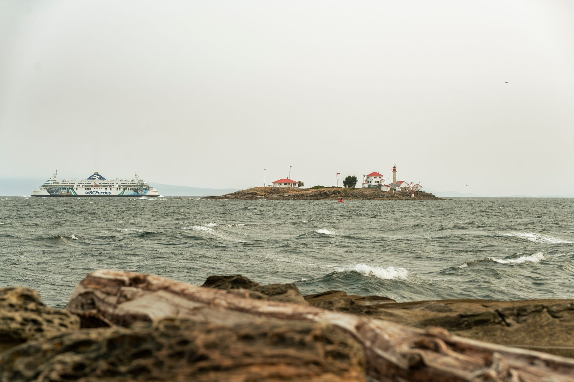 Cheap Hotels in Victoria BC: Why a Downtown Hostel Beats a Budget Motel Every Time — photo: Vlad Vasnetsov / Pexels