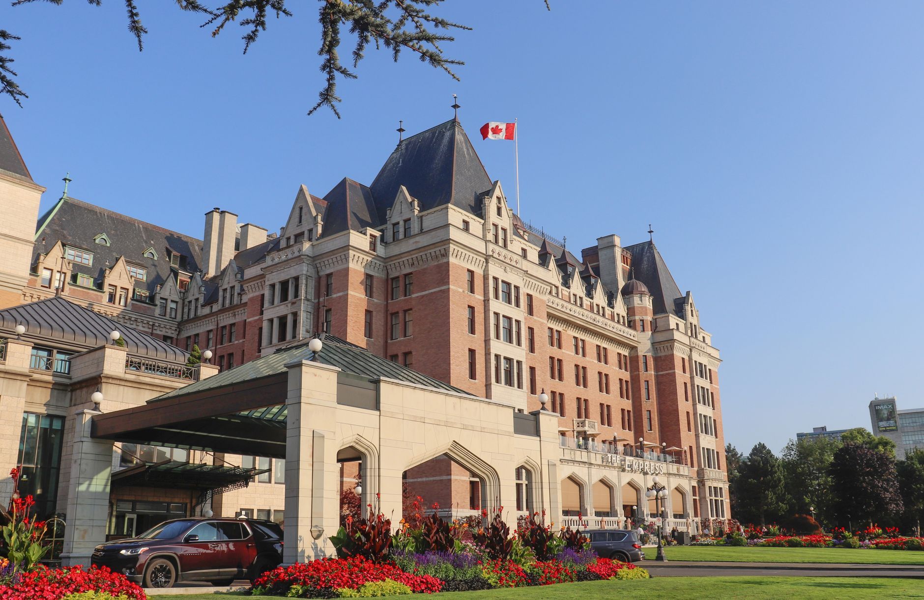 Cheap Hotels in Victoria BC Downtown: Why Ocean Island Inn Is the Smart Base — photo: Claudia  Solano / Pexels