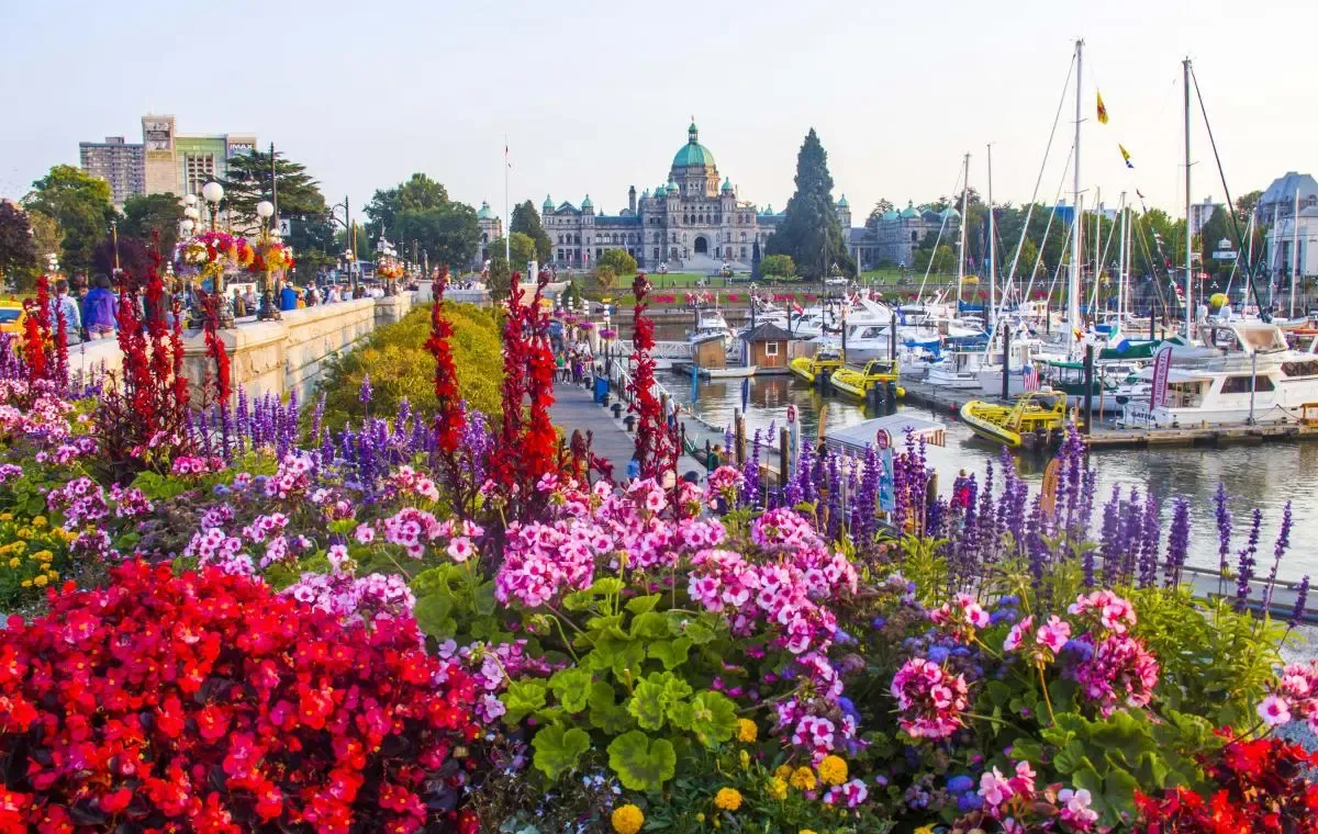Downtown Victoria | Doug Clement Photography