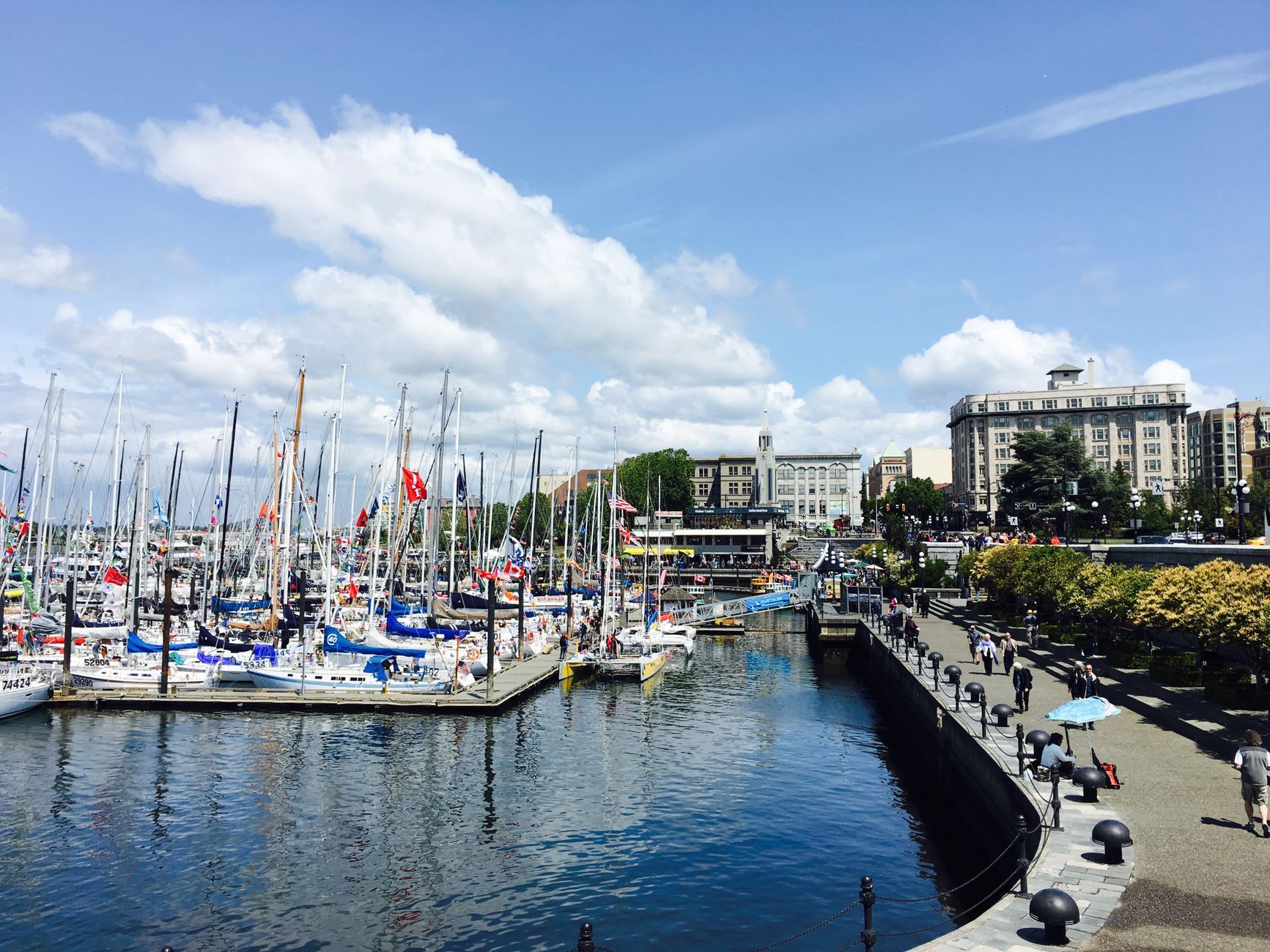 Downtown Victoria Hotel Deals: How to Save Big and Stay Smart — photo: Lenka XIA / Pexels