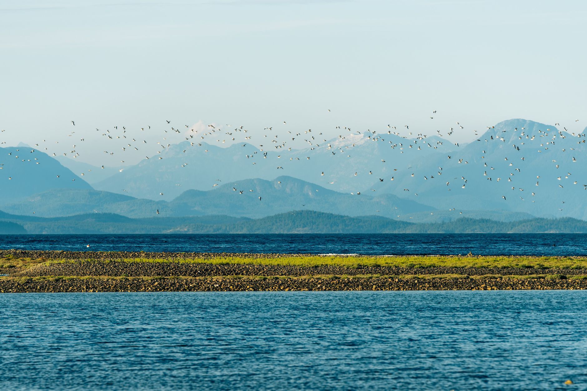 Hotel Deals on Vancouver Island: How to Stay Smart and Spend Less — photo: Vlad Vasnetsov / Pexels