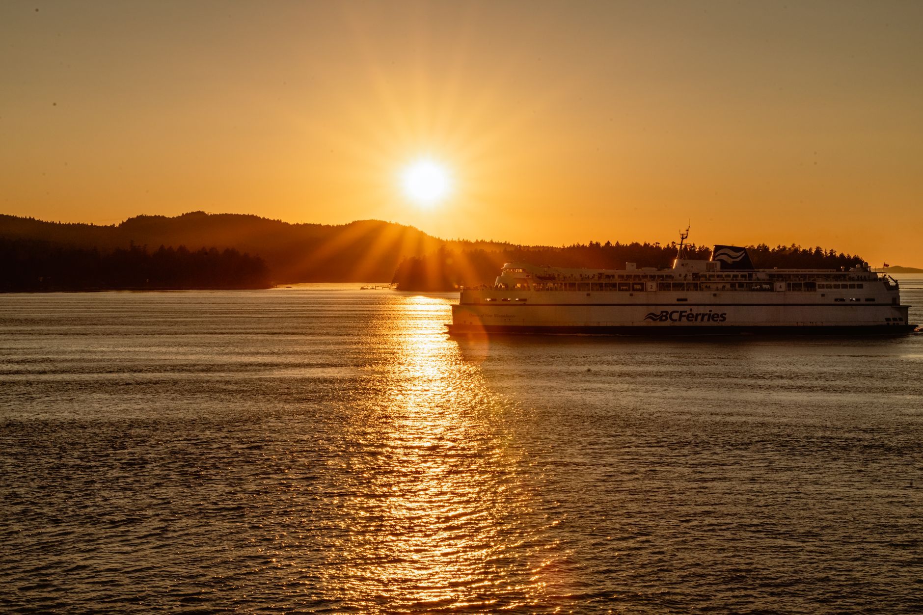 Must See in Victoria BC: A Local's Honest Guide to the Best of the City — photo: Vlad Vasnetsov / Pexels