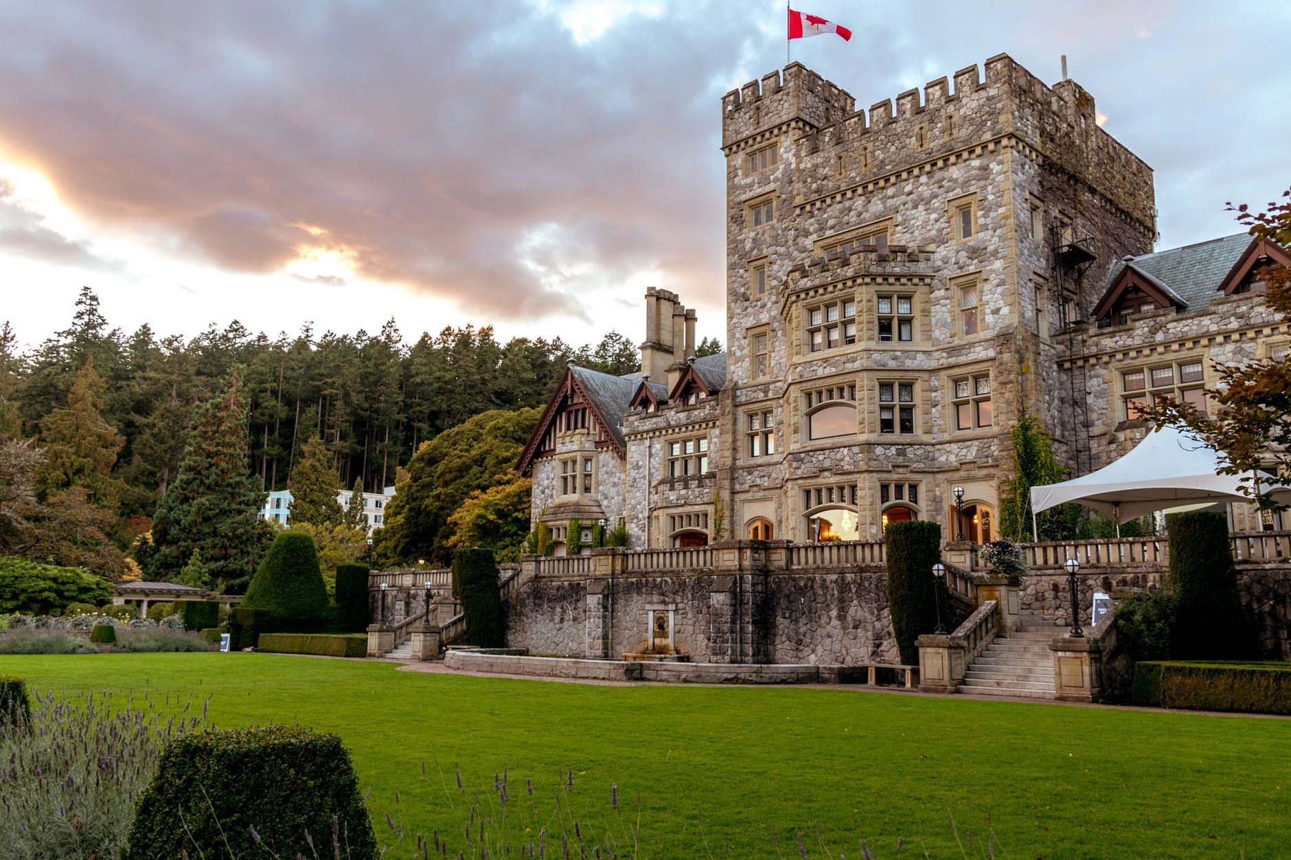 Must See in Victoria BC: A Local's Honest Guide for Budget Travellers — photo: Vlad Vasnetsov / Pexels
