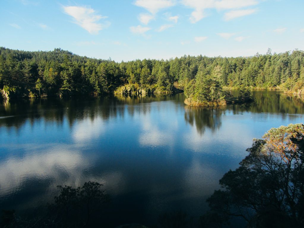 Thetis Lake