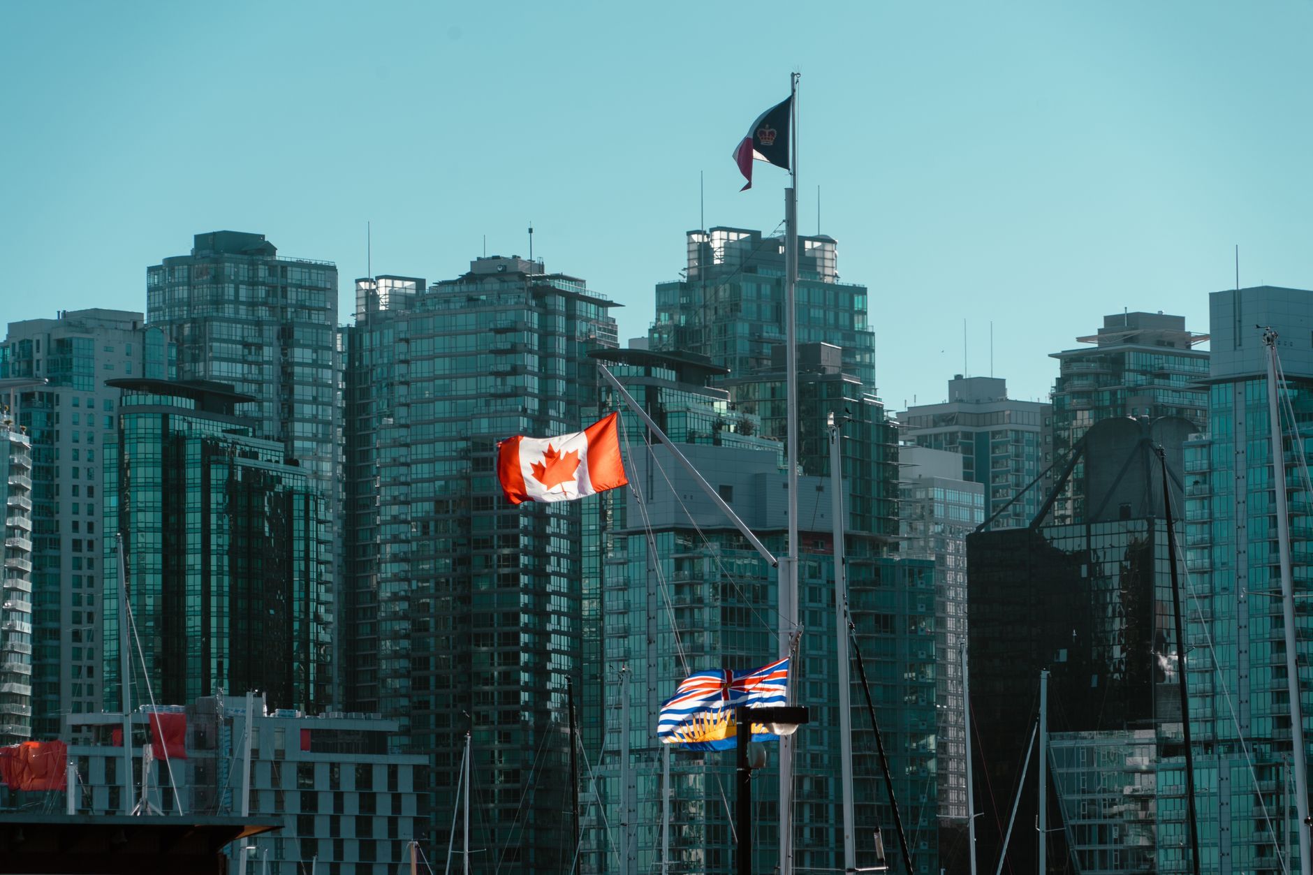 Things to Do in Downtown Victoria BC: A Local's Honest Guide — photo: Luka Franzi / Pexels