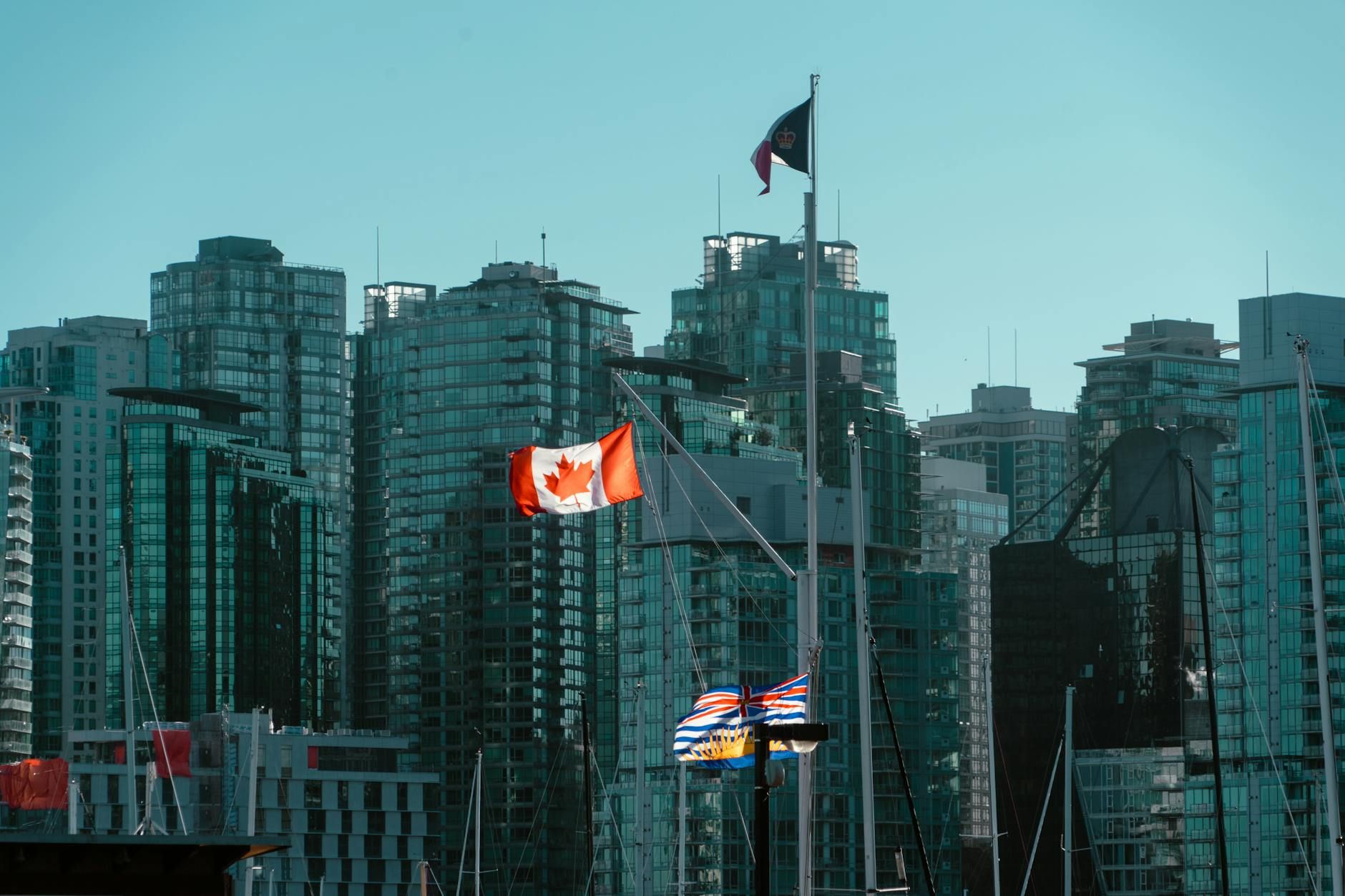 Things to Do in Downtown Victoria BC: A Local's Honest Guide — photo: Luka Franzi / Pexels