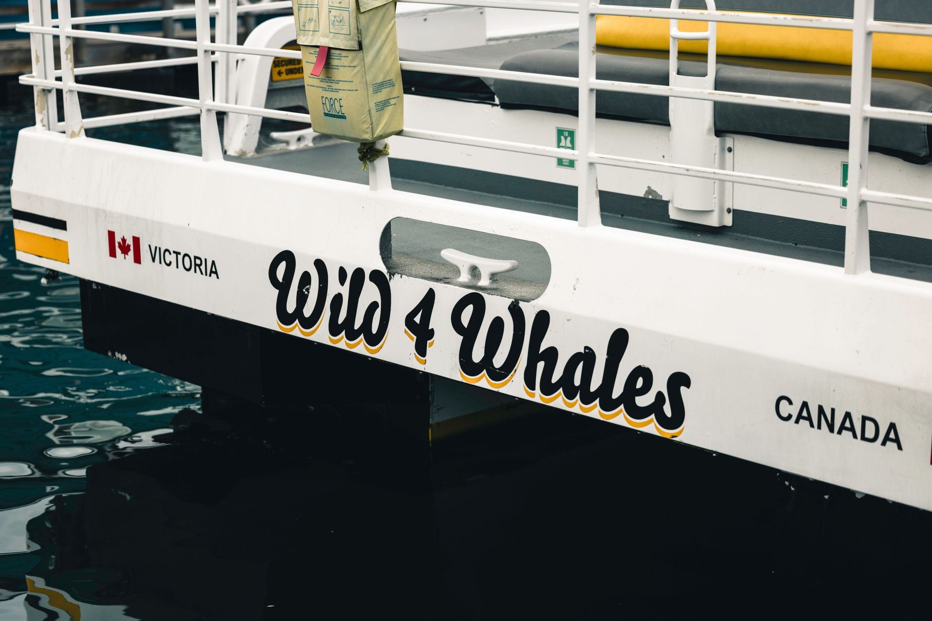 Things to Do in Victoria BC Canada: A Local's Honest Guide — photo: Ali Kazal / Pexels