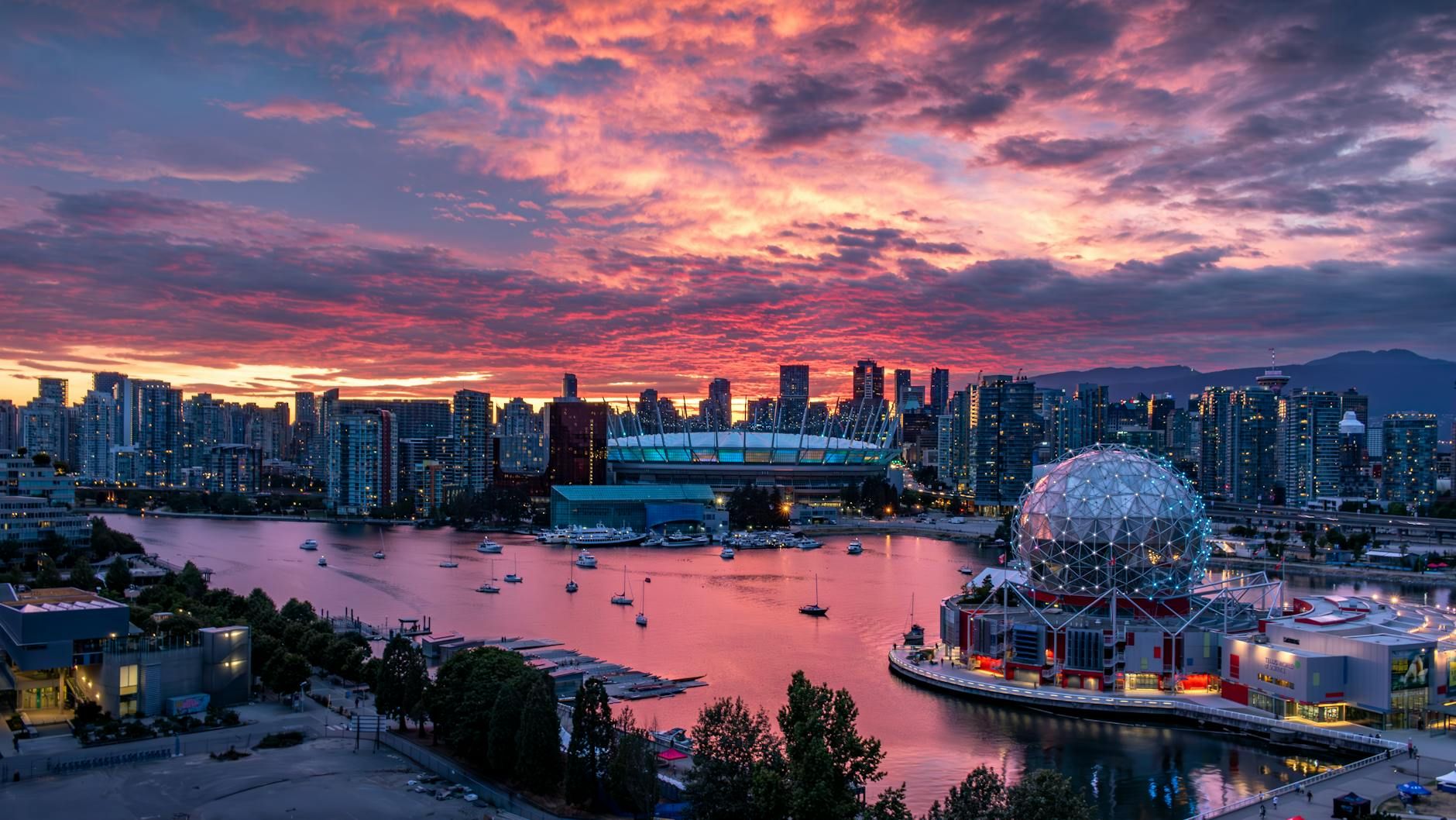 Things to Do in Victoria BC Today (Whatever the Weather) — photo: Adi K / Pexels