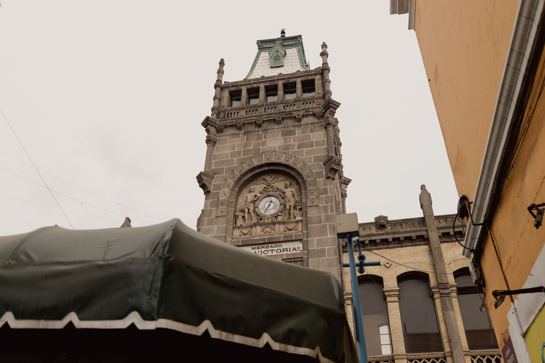 Things to Do in Victoria Today: A Local's Guide to Making the Most of Your Day — photo: Chris Luengas / Pexels