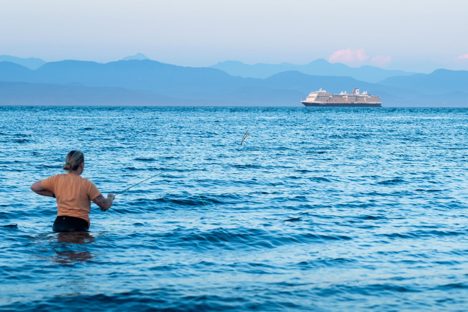 The Best Victoria BC Activities for Budget Travellers (From Someone Who Actually Lives Here) — photo: Vlad Vasnetsov / Pexels