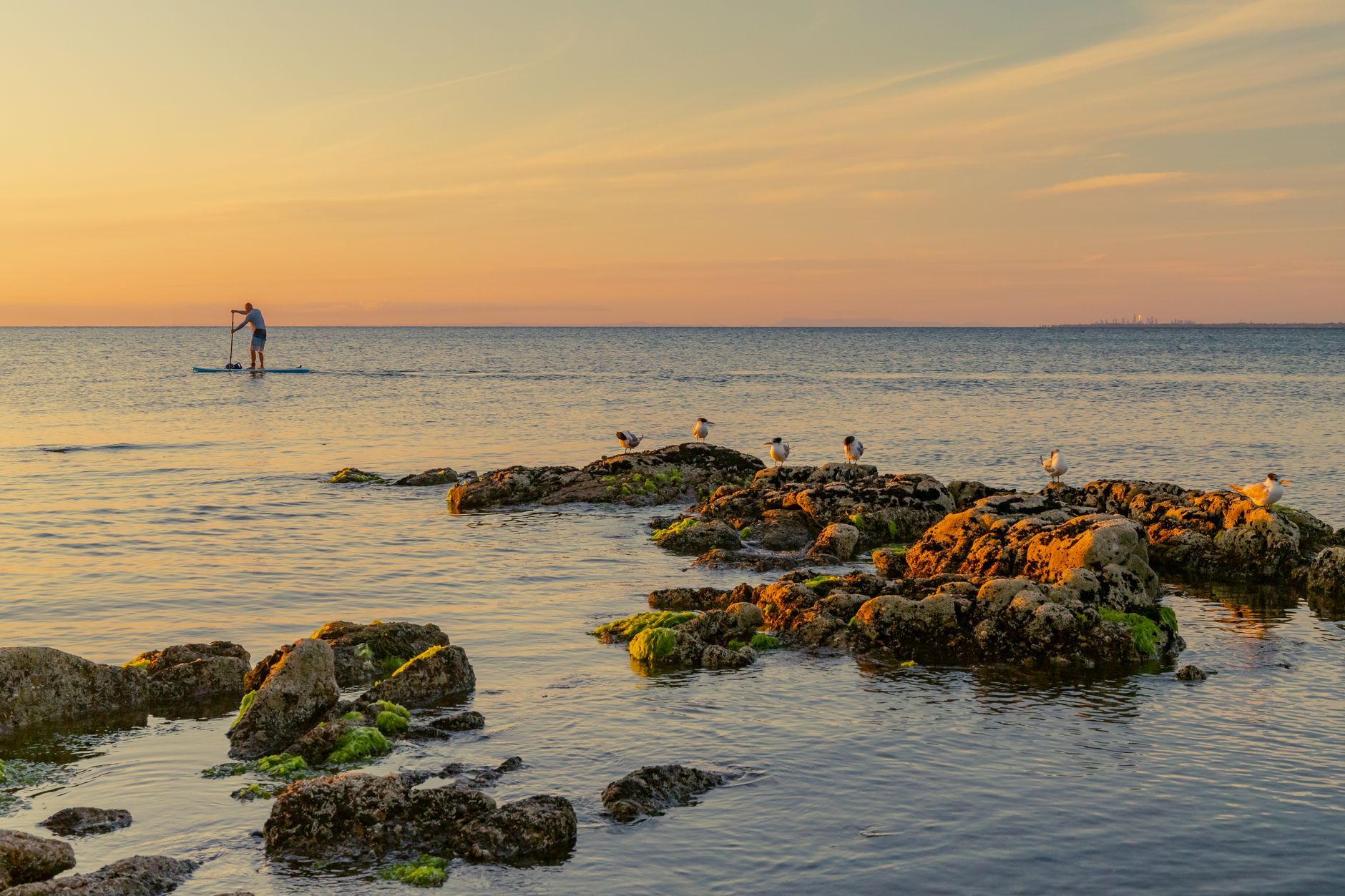 The Best Victoria BC Activities for Budget Travellers (From Someone Who Actually Lives Here) — photo: Mitchell Luo / Pexels