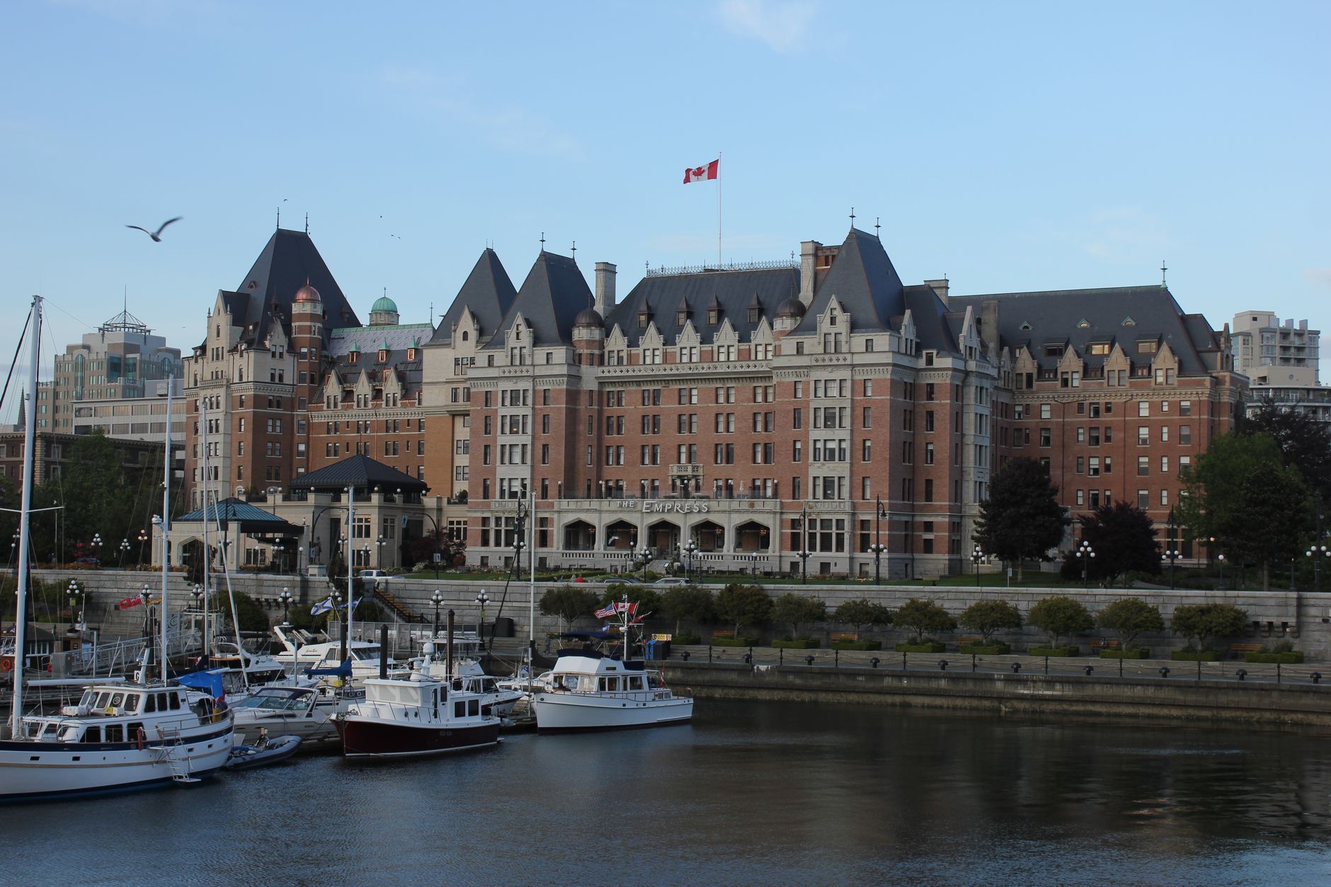 Victoria BC Hotel Deals: How to Actually Score Affordable Stays in a Pricey City — photo: alex ohan / Pexels