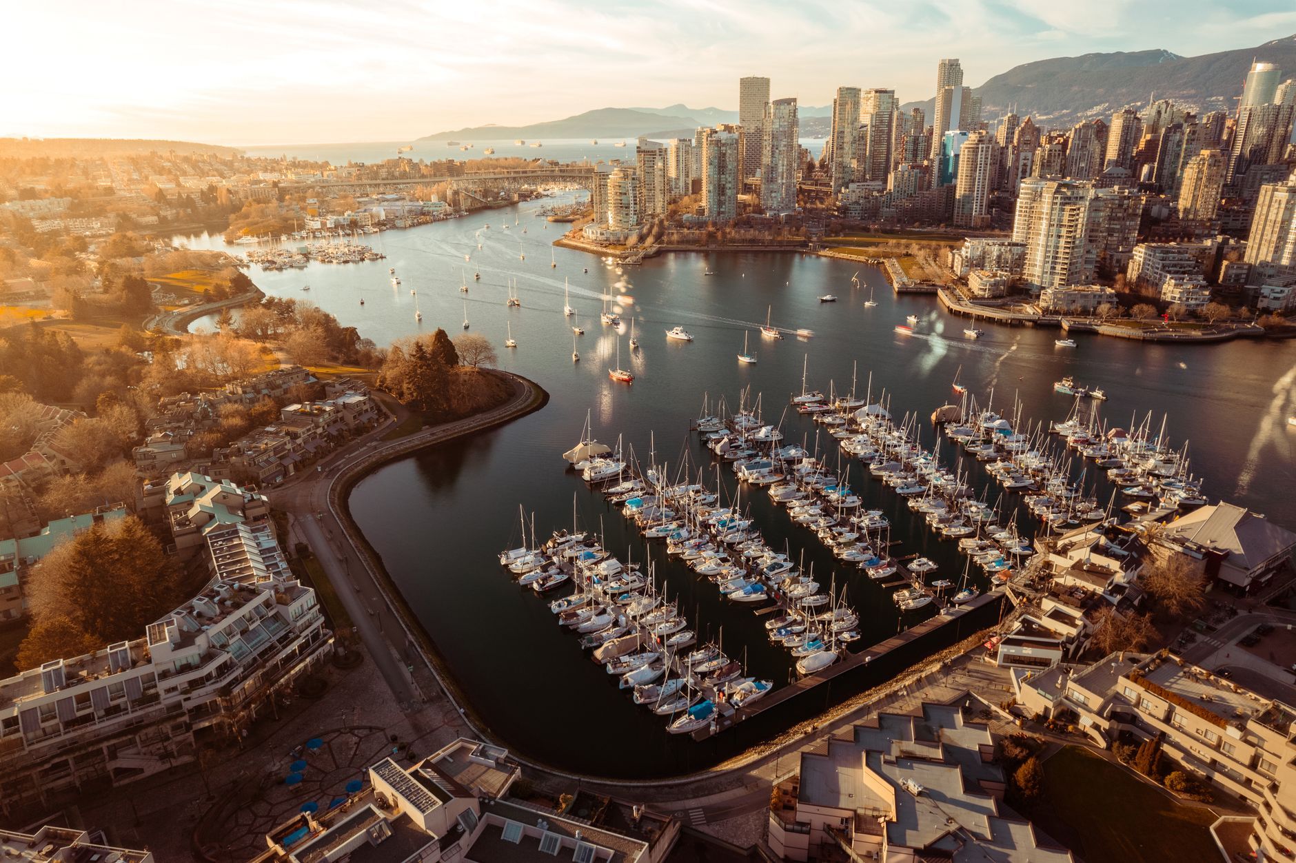 Victoria BC Things to See: A Local's Guide to the Best of the City — photo: Caio / Pexels