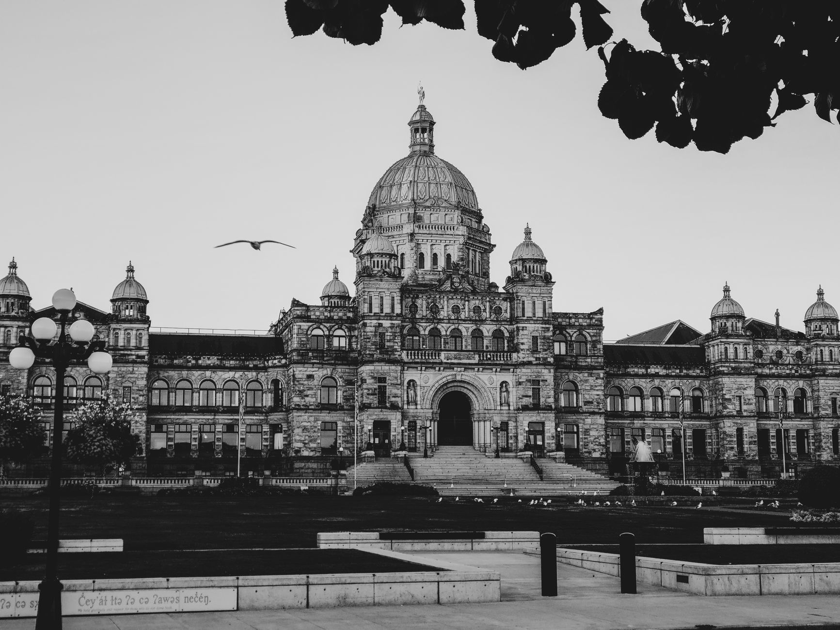 Victoria Canada Attractions: A Local's Honest Guide to the Best Things to Do — photo: Jaskeerat Singh / Pexels