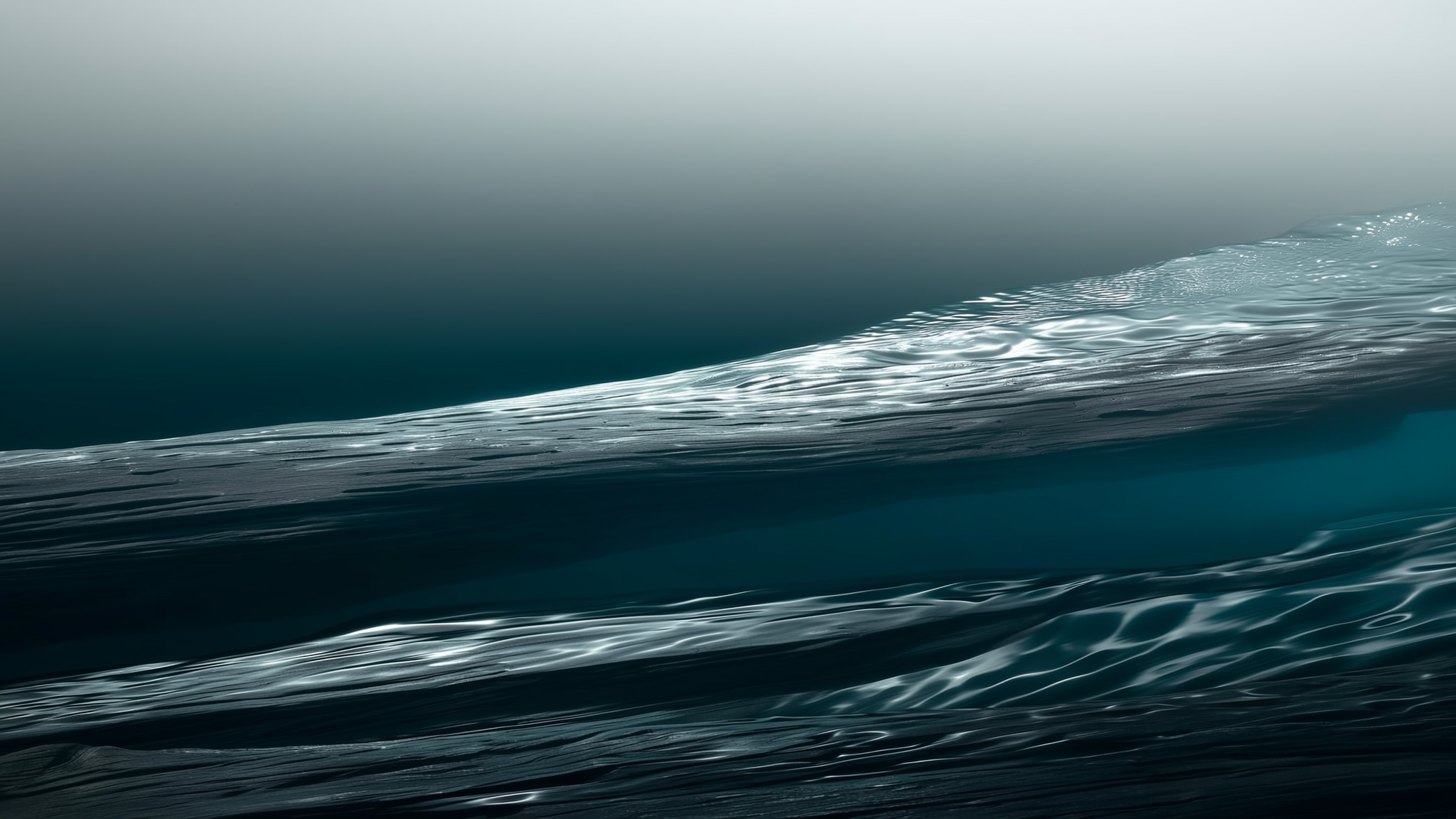 Whale Watching & the Inner Harbour: A Local's Guide — abstract illustration