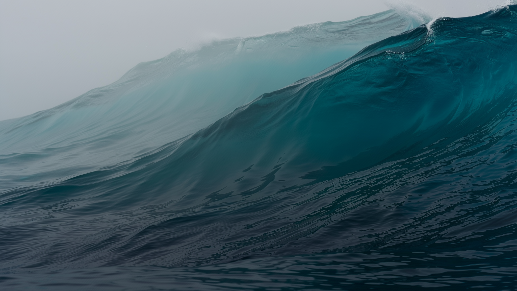 Whale Watching & the Inner Harbour: A Local's Guide — abstract illustration