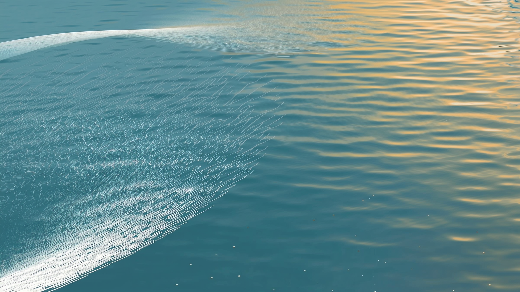 Whale Watching & the Inner Harbour: A Local's Guide — abstract illustration