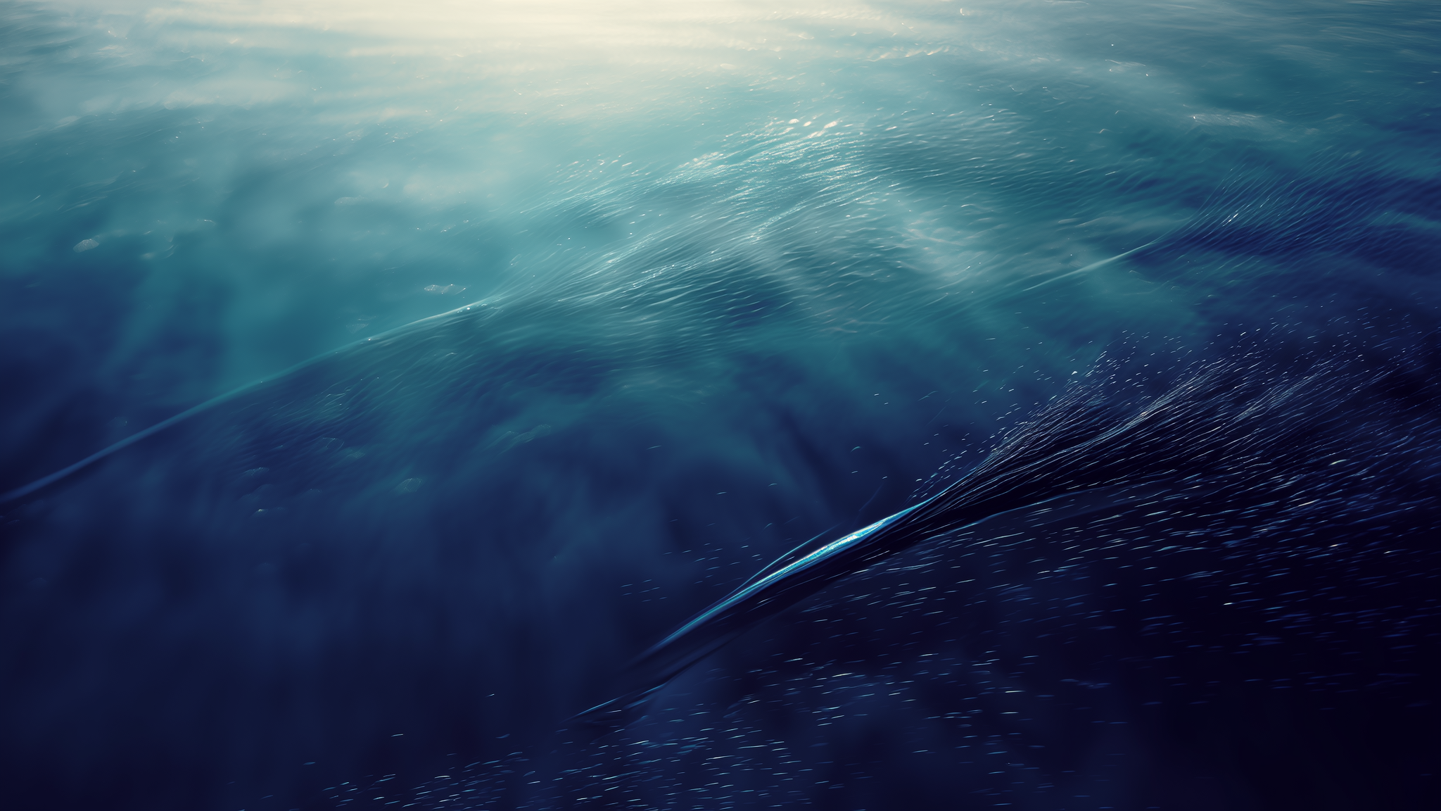 Whale Watching & the Inner Harbour: A Local's Guide to Victoria — abstract illustration